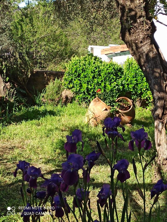 בית הארחה Alájar 	El Lucero מראה חיצוני תמונה